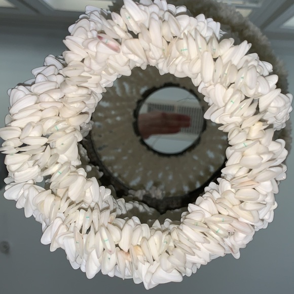 Custom Handmade SeaShell / Opal Chandelier - Picture 13 of 13